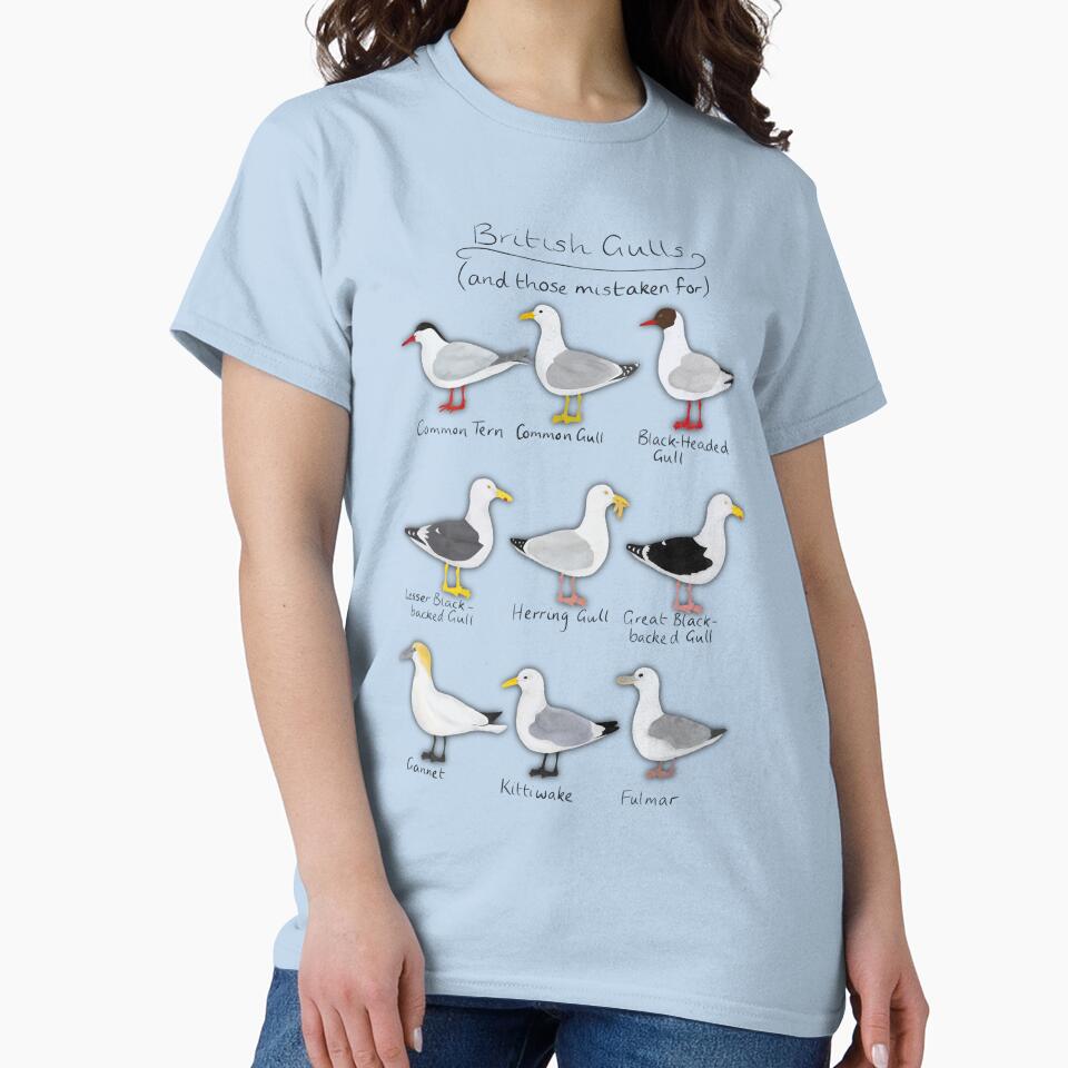 Gull Guide by Elliestrations