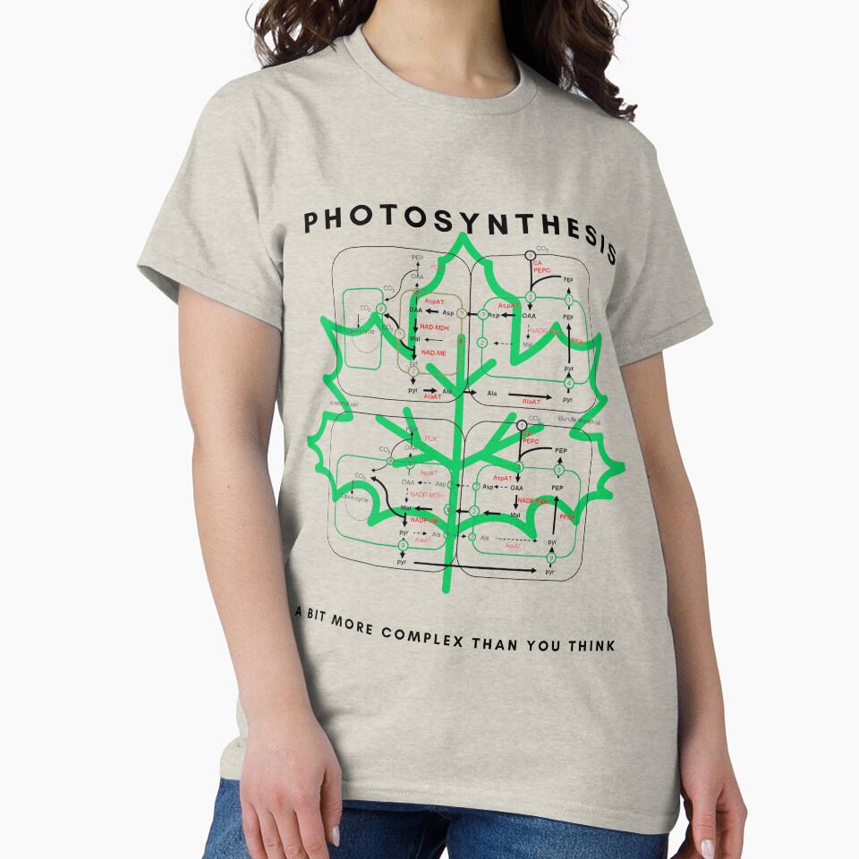 Photosynthesis by sci-alliance