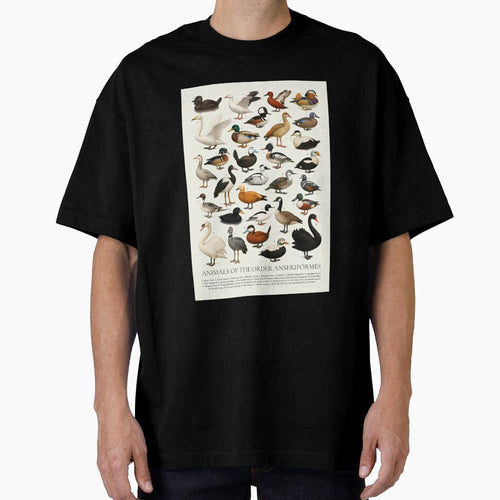 Anseriformes (Duck Goose Swan) Wildlife Retro Identification Chart by kakarikihill