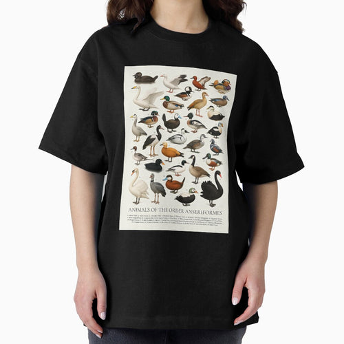 Anseriformes (Duck Goose Swan) Wildlife Retro Identification Chart by kakarikihill