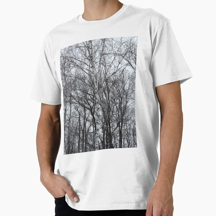 Bare trees and snowy silence by Fellowship23