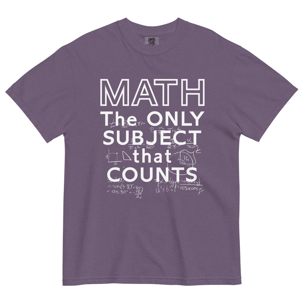 Math The Only Subject That Counts Men's Relaxed Fit Tee