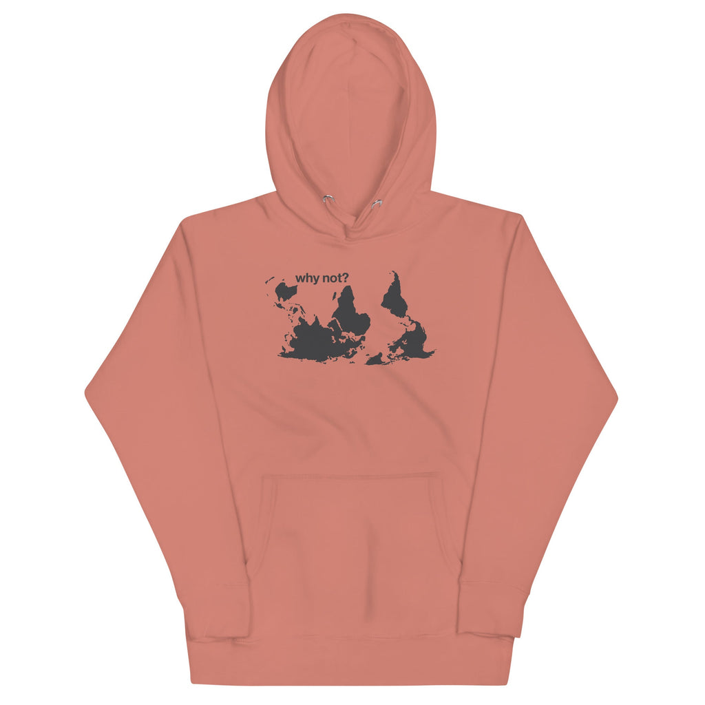 Why Not? Unisex Hoodie