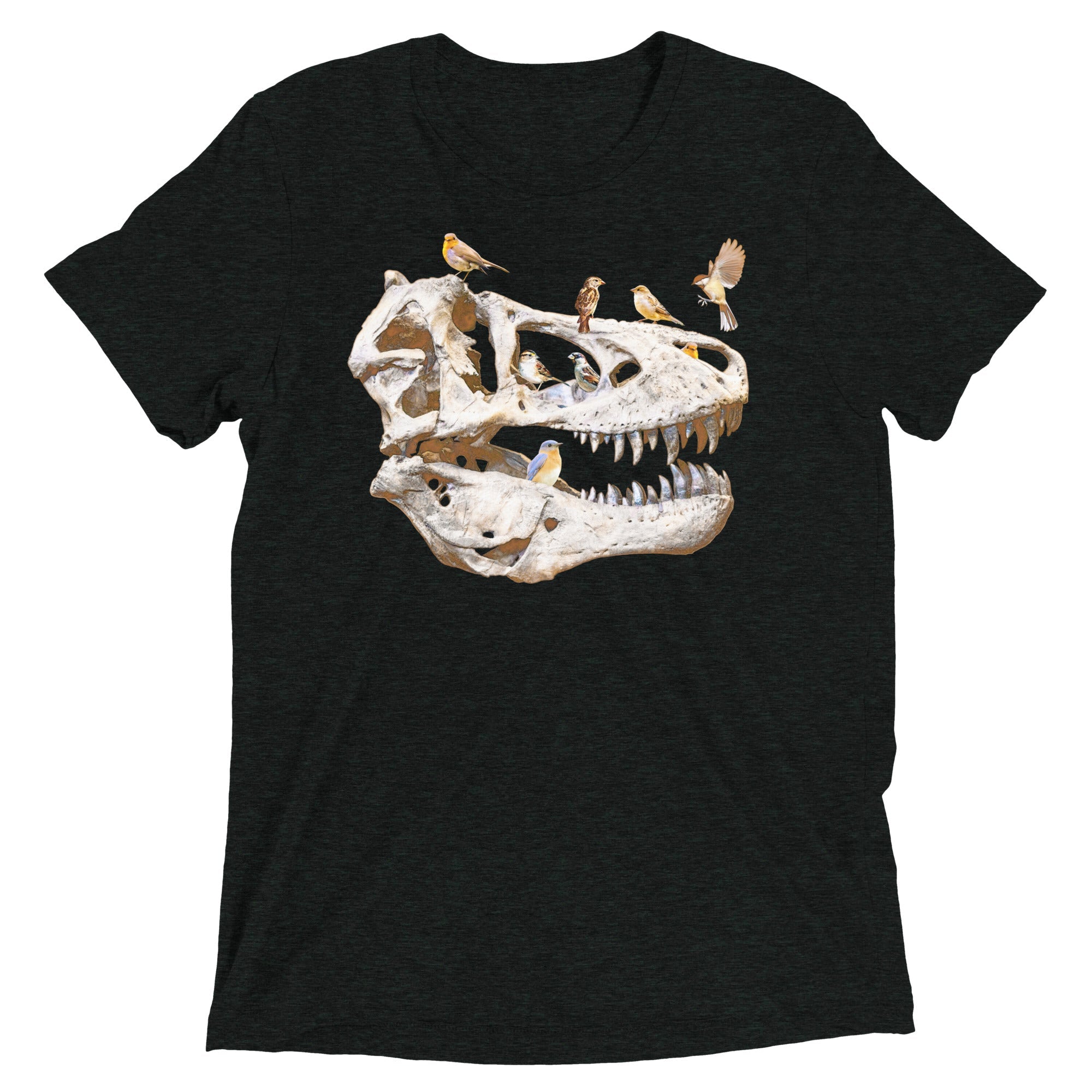 Bird Bones Men's Tri-Blend Tee