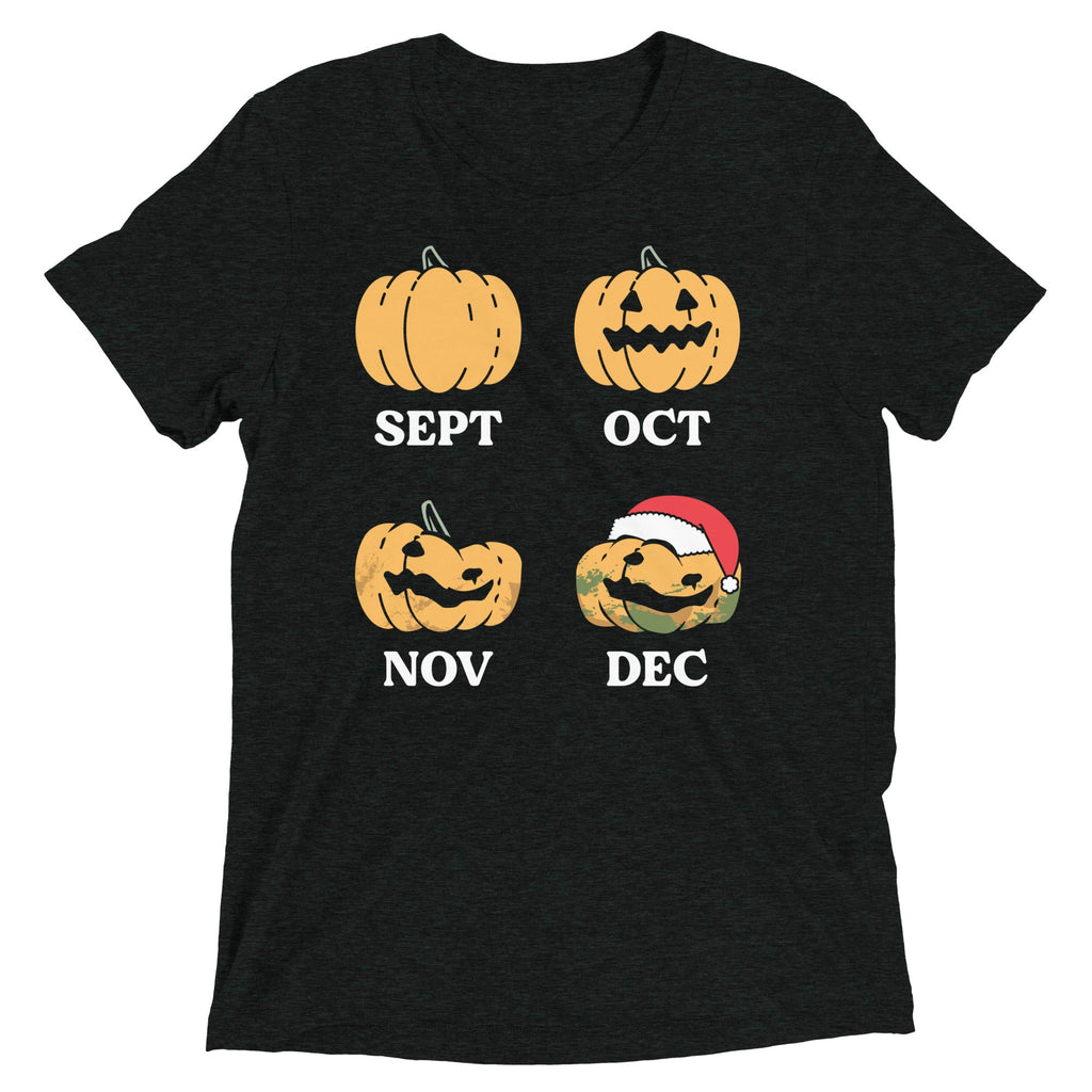 Pumpkin Months Men's Tri-Blend Tee