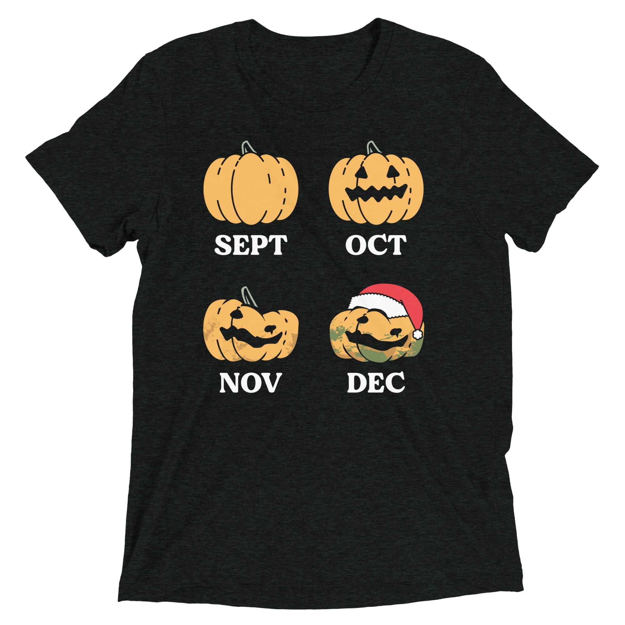 Pumpkin Months Men's Tri-Blend Tee