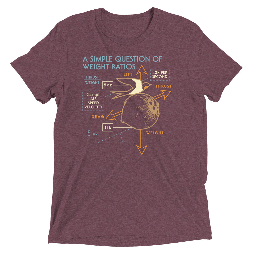 A Simple Question Of Weight Ratios Men's Tri-Blend Tee
