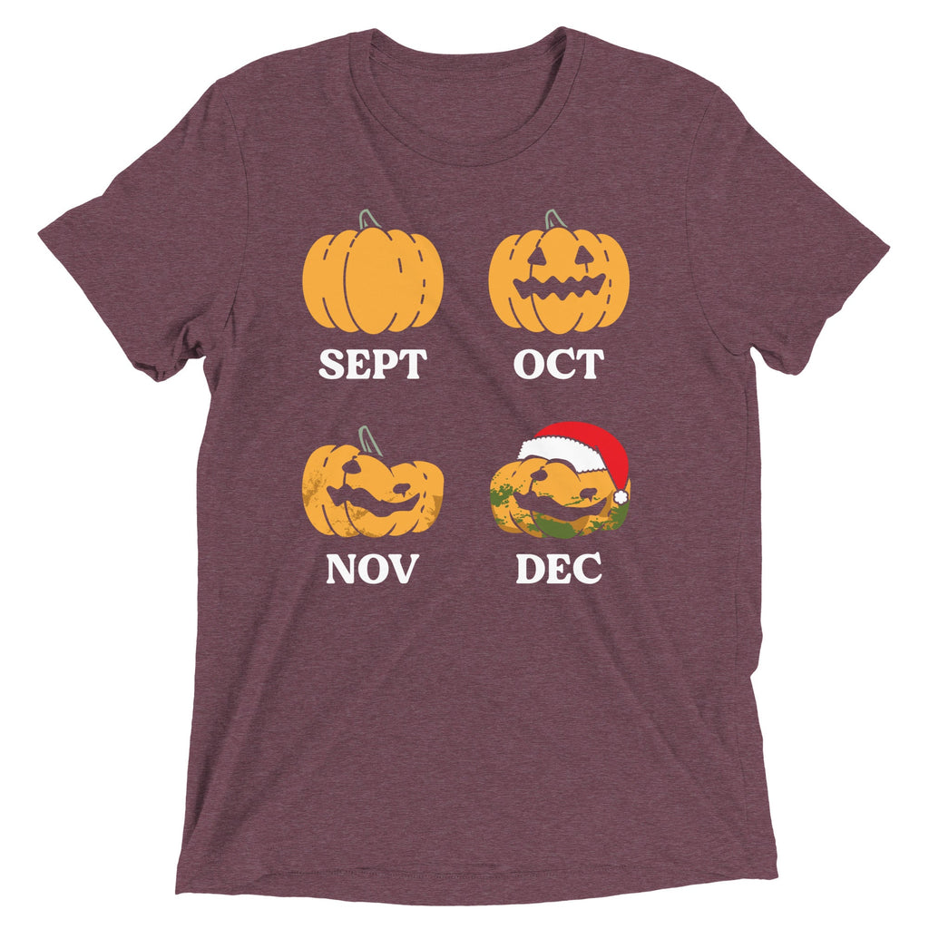 Pumpkin Months Men's Tri-Blend Tee