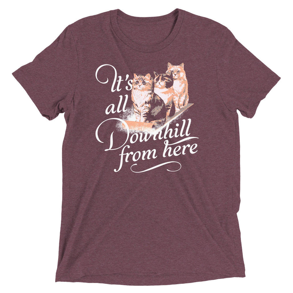 It's All Downhill From Here Men's Tri-Blend Tee
