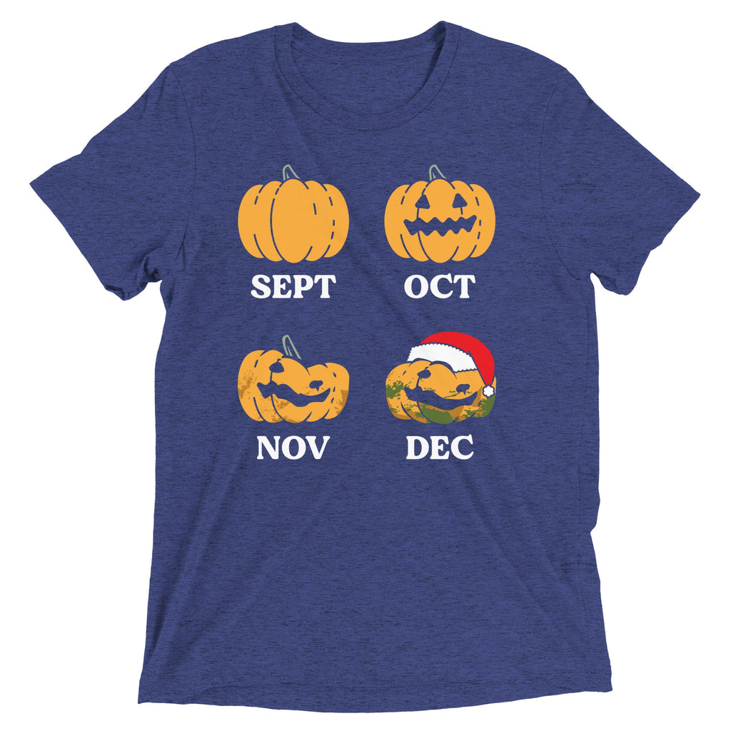 Pumpkin Months Men's Tri-Blend Tee