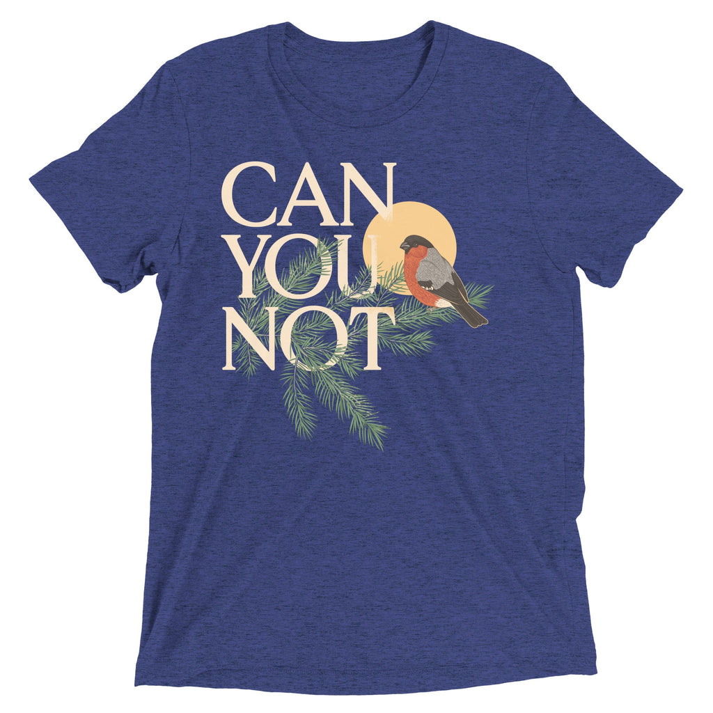 Can You Not Men's Tri-Blend Tee