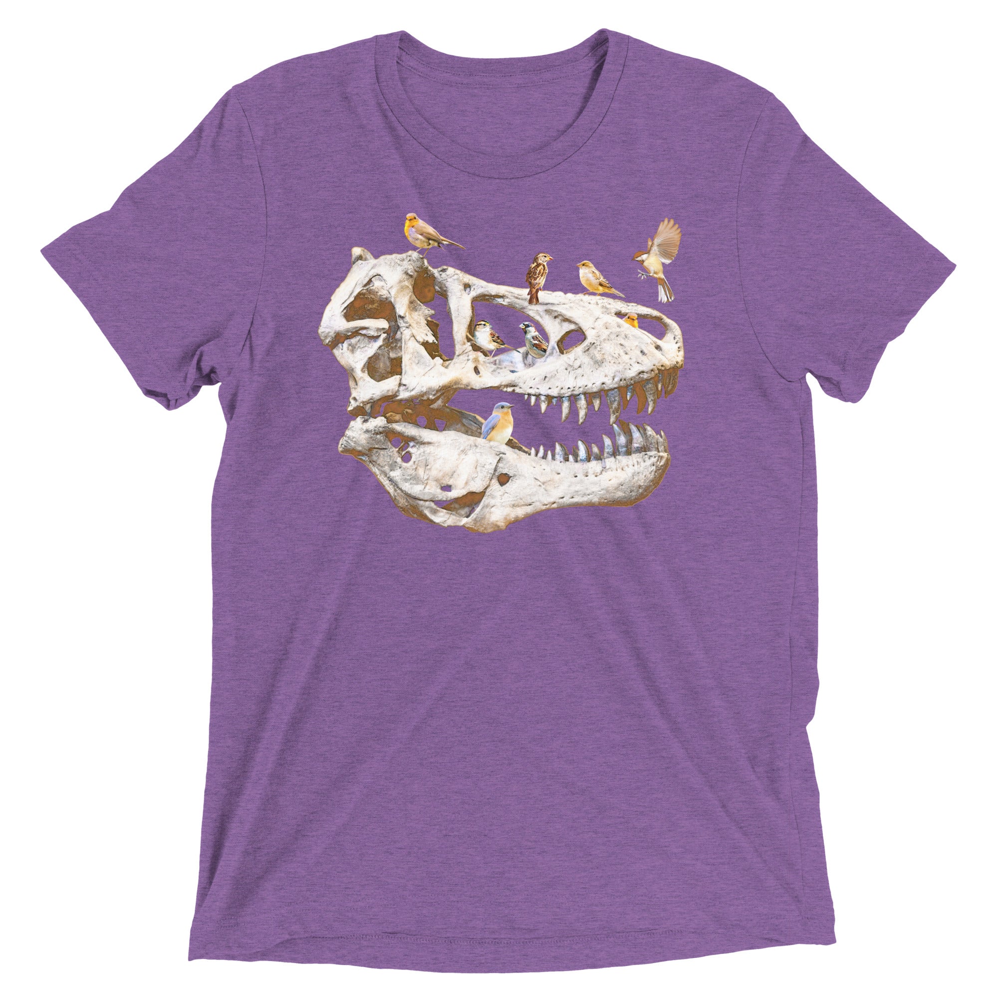 Bird Bones Men's Tri-Blend Tee