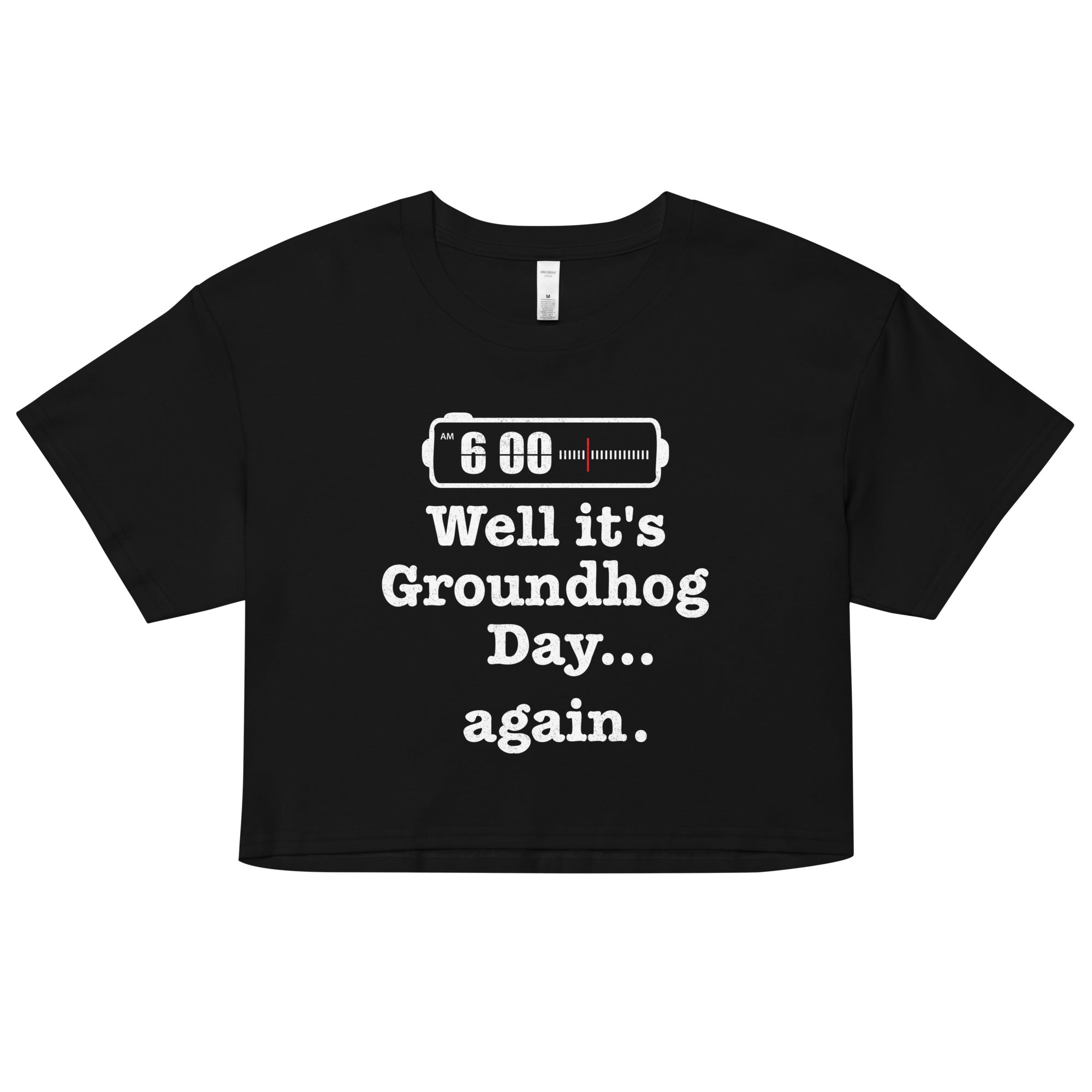 Well It's Groundhog Day Again Women's Crop Tee