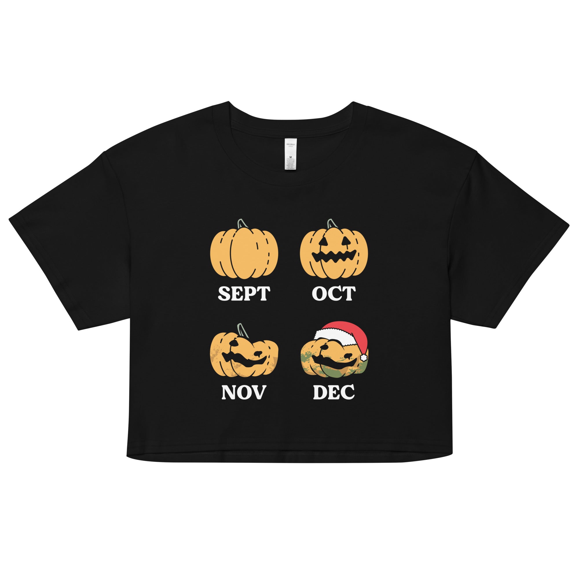 Pumpkin Months Women's Crop Tee