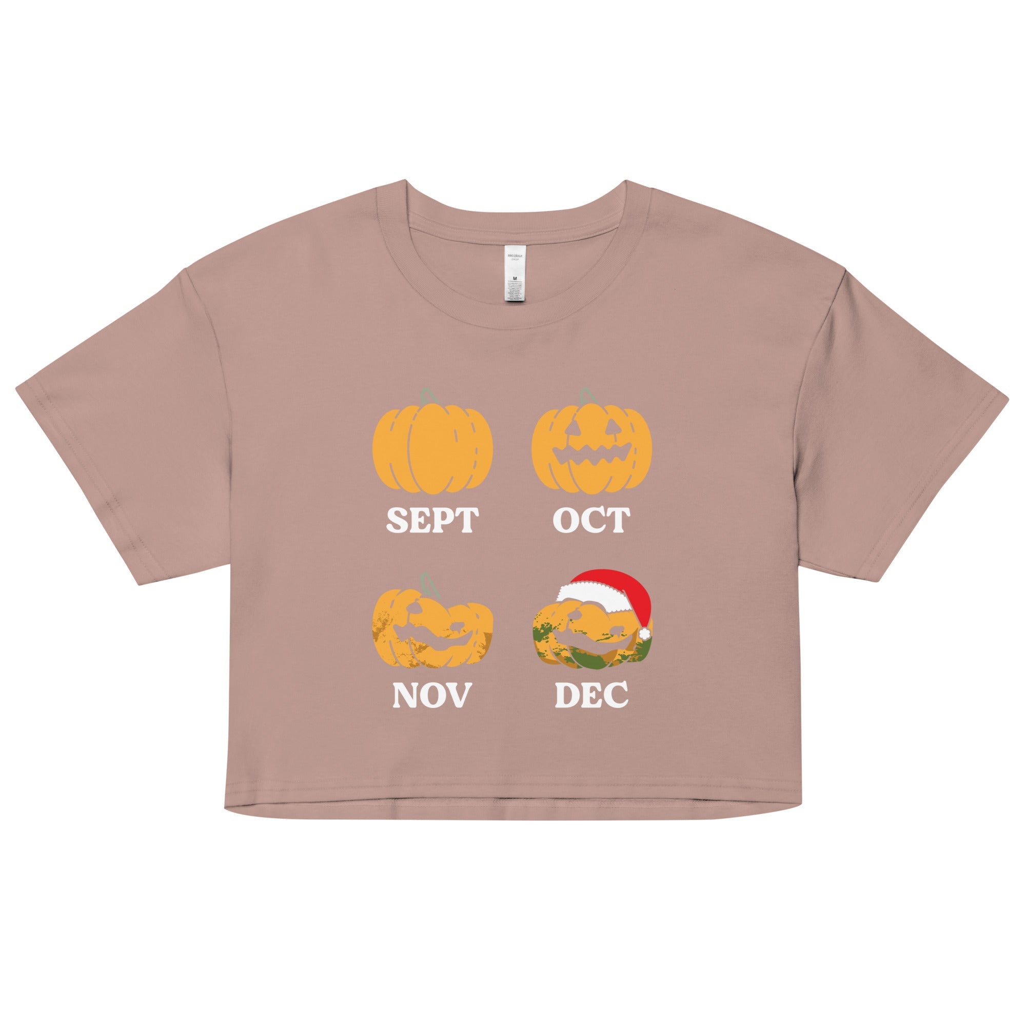 Pumpkin Months Women's Crop Tee