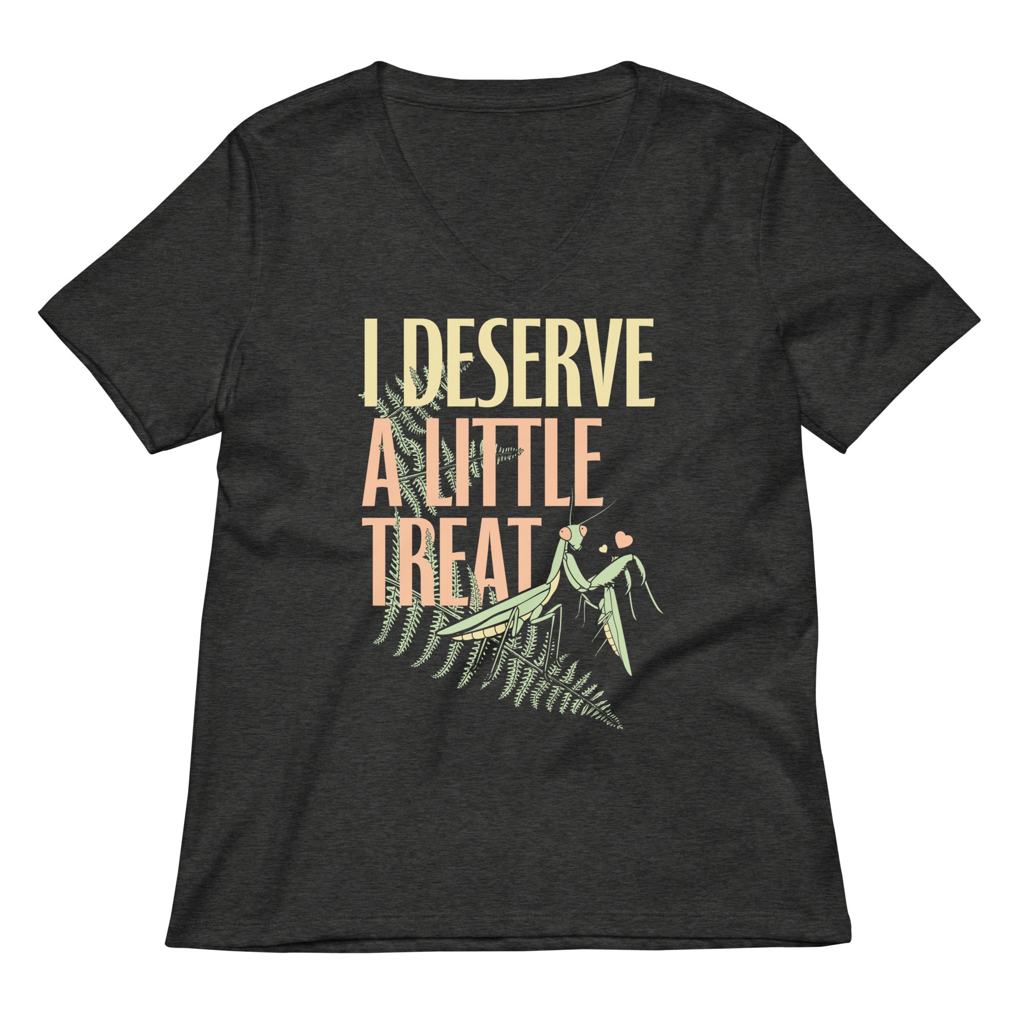I Deserve A Little Treat Women's V-Neck Tee