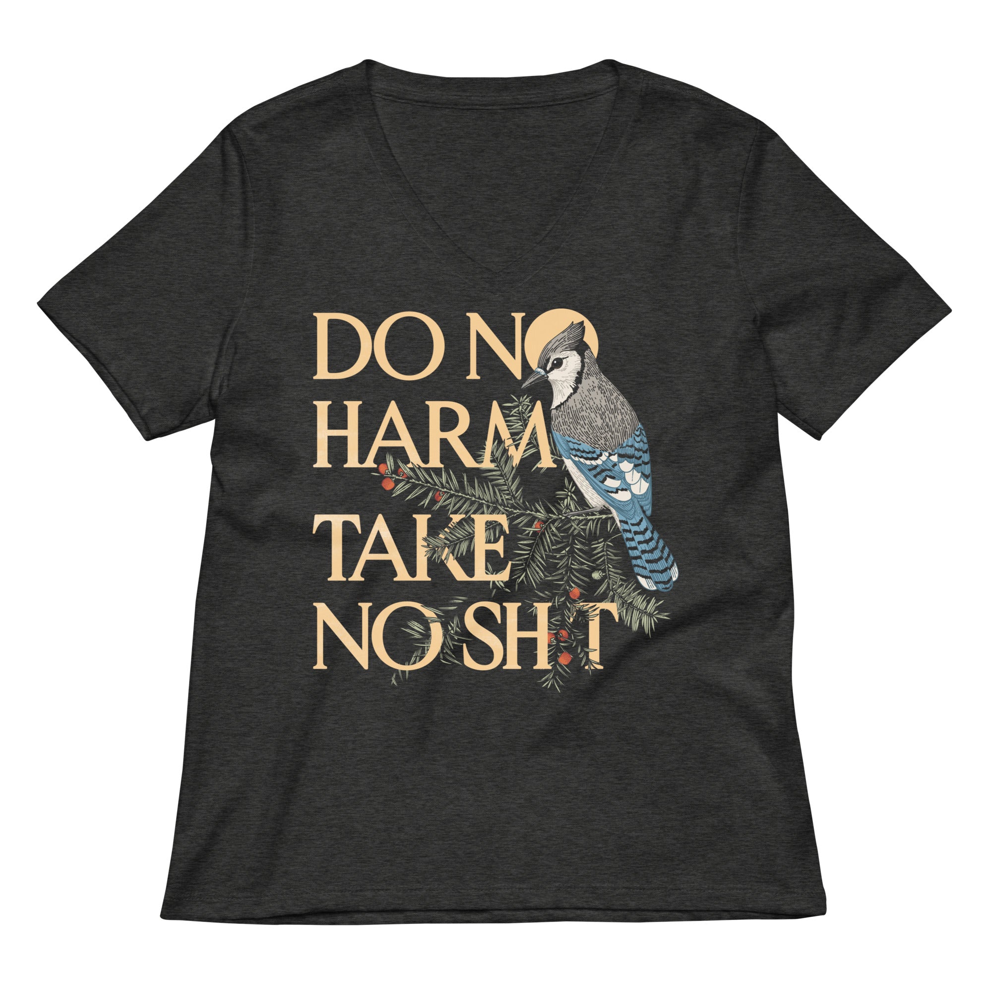 Do No Harm Women's V-Neck Tee
