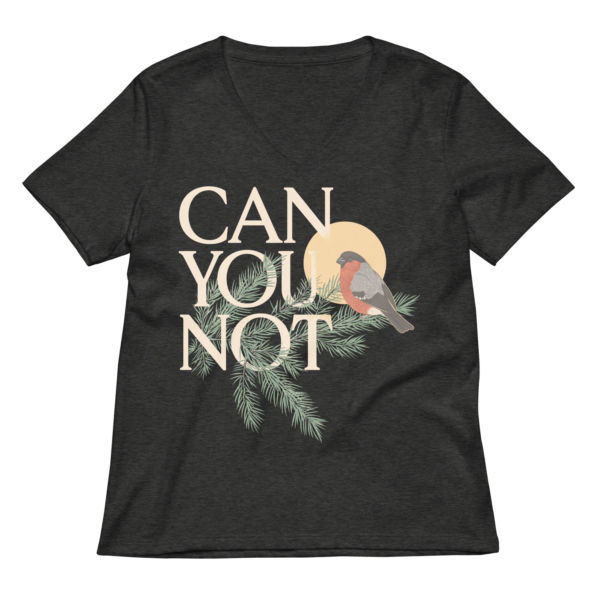 Can You Not Women's V-Neck Tee
