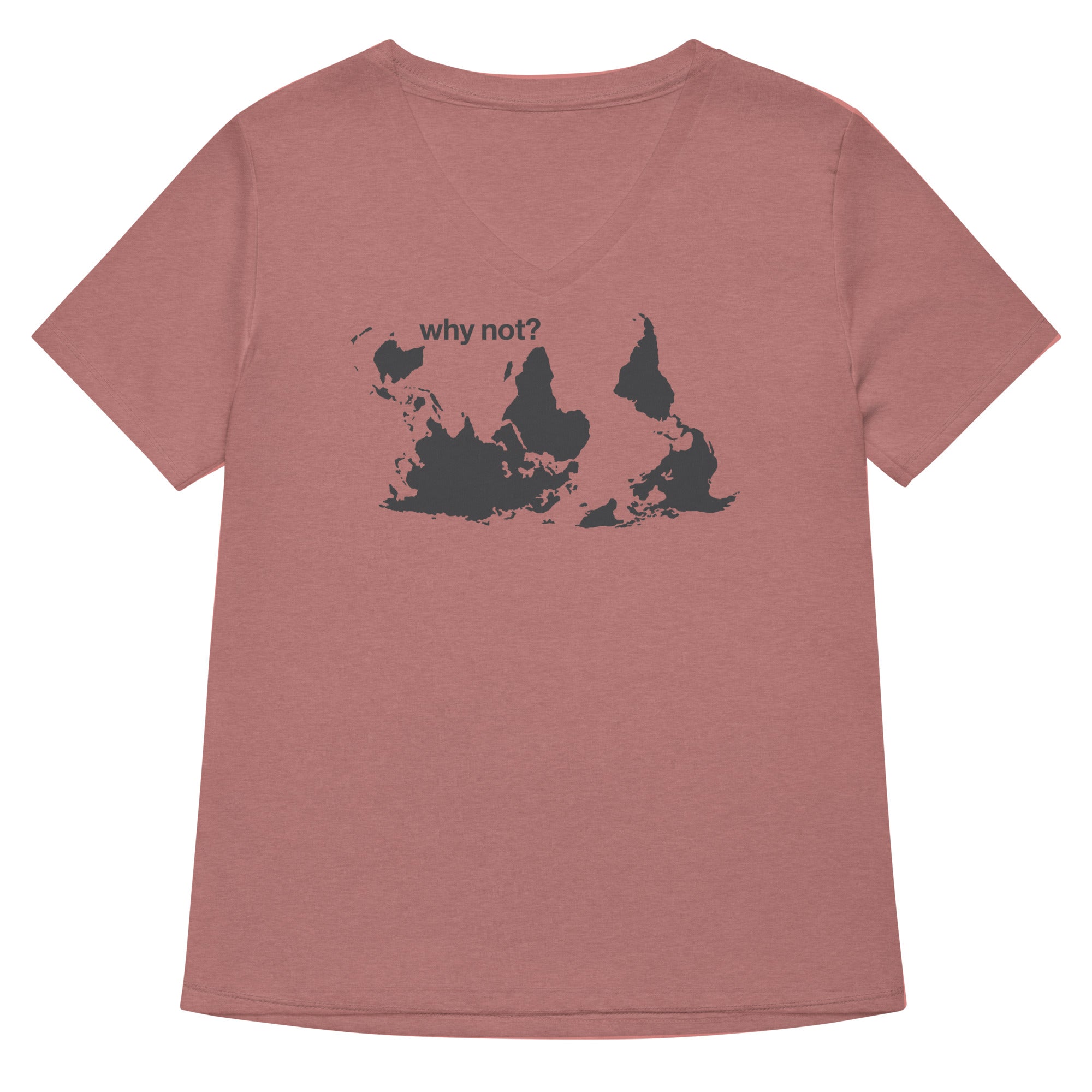 Why Not? Women's V-Neck Tee