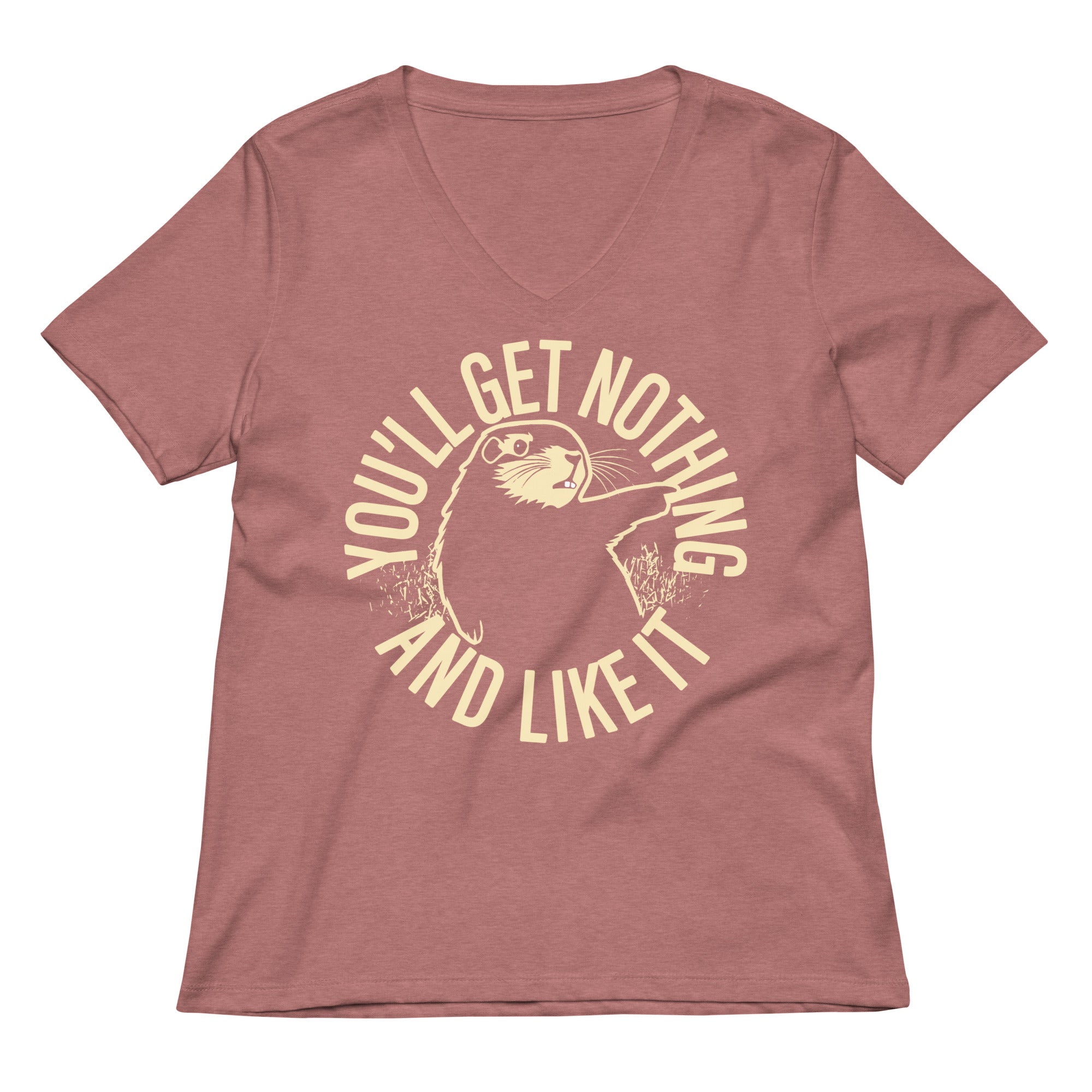 You'll Get Nothing And Like It Women's V-Neck Tee