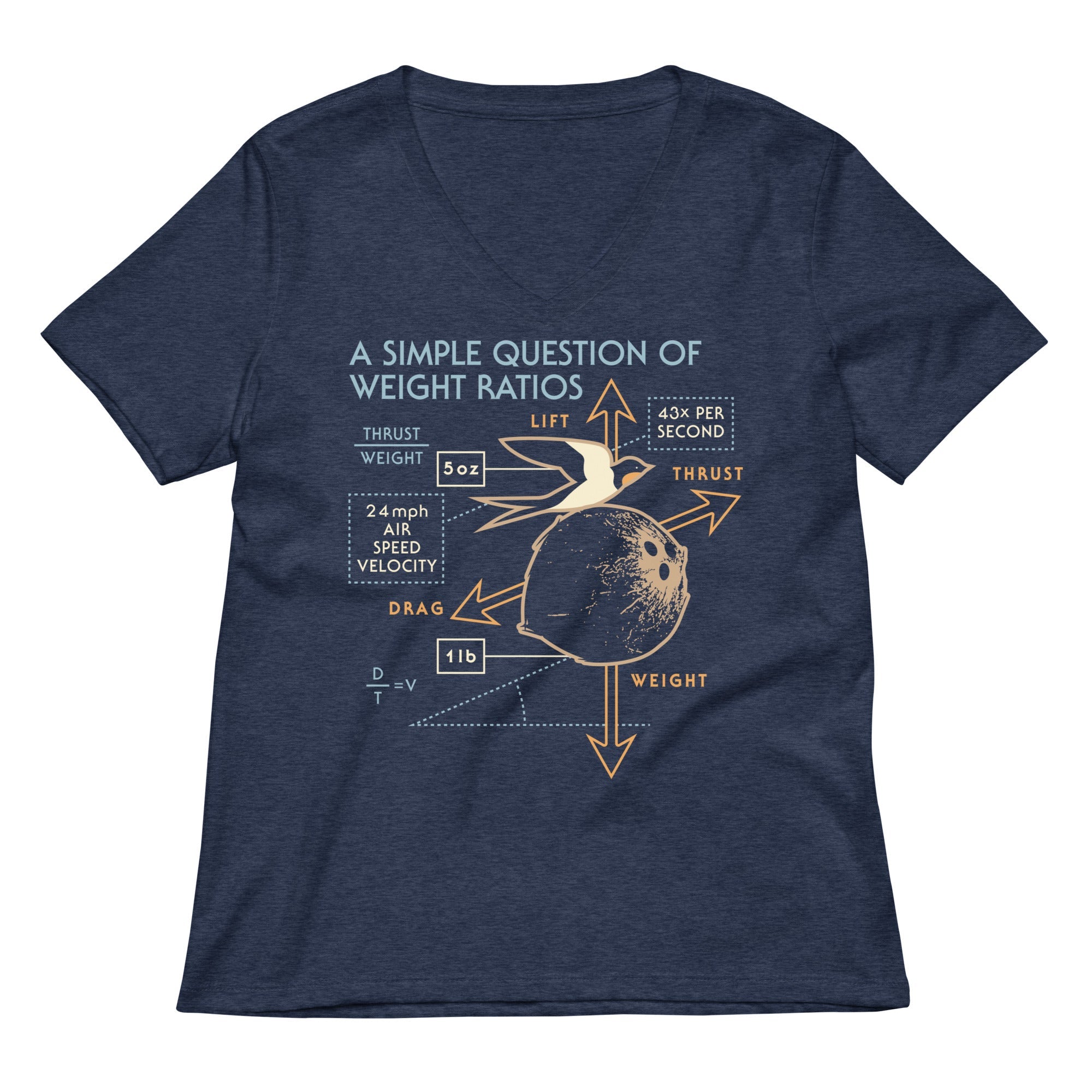 A Simple Question Of Weight Ratios Women's V-Neck Tee