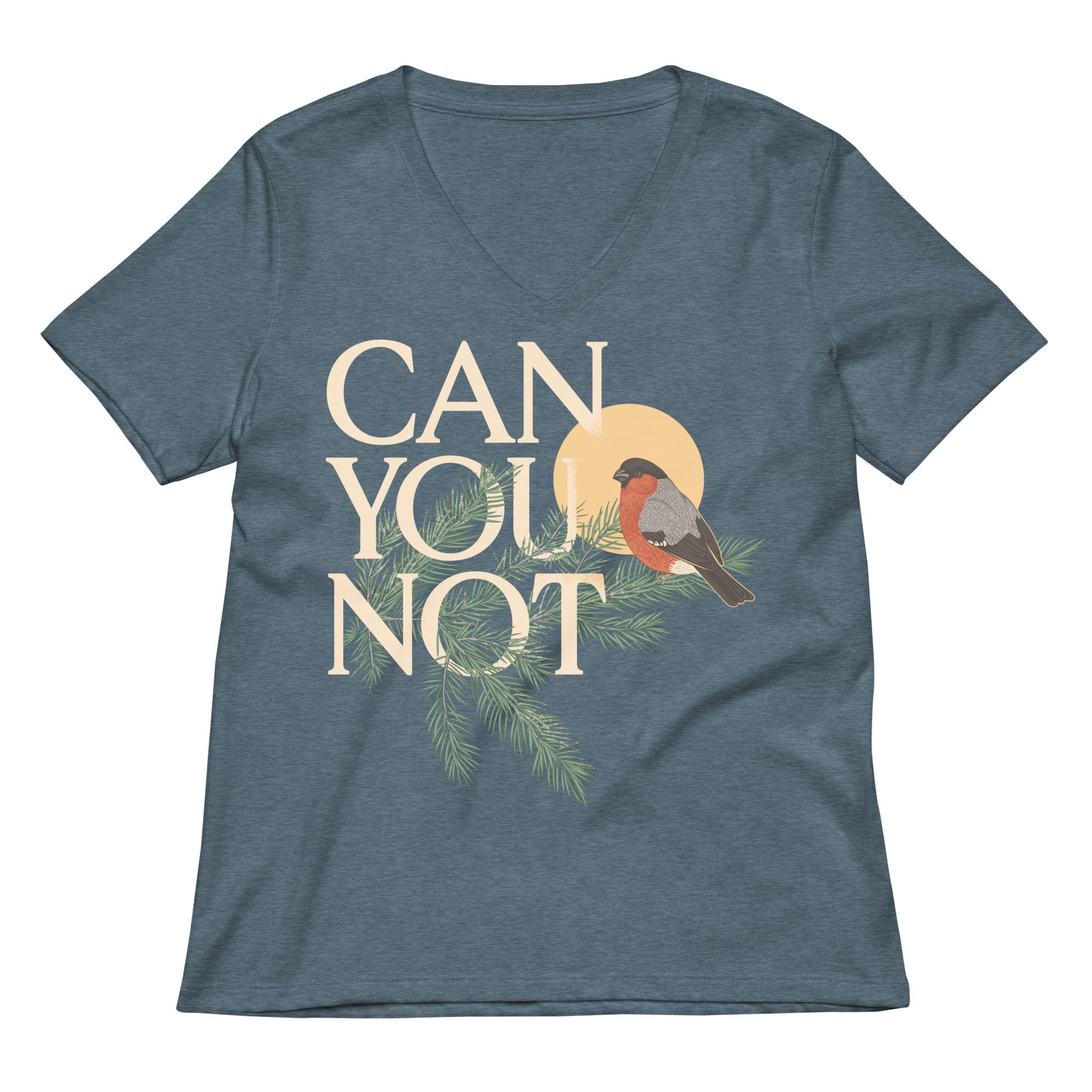 Can You Not Women's V-Neck Tee