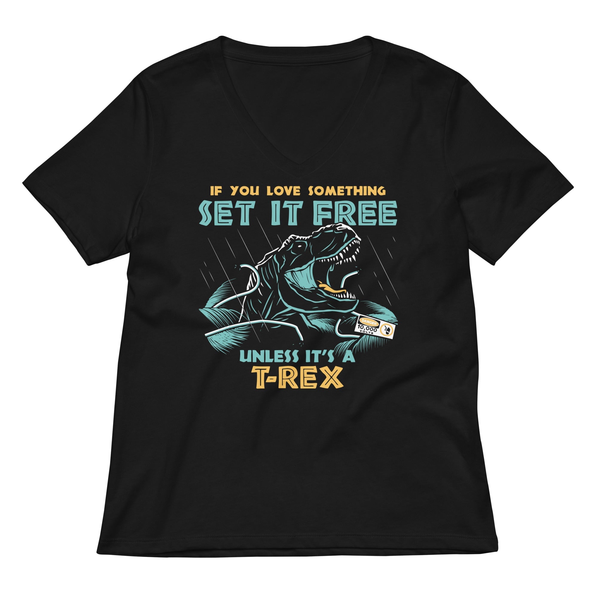 If You Love Something Set It Free Women's V-Neck Tee