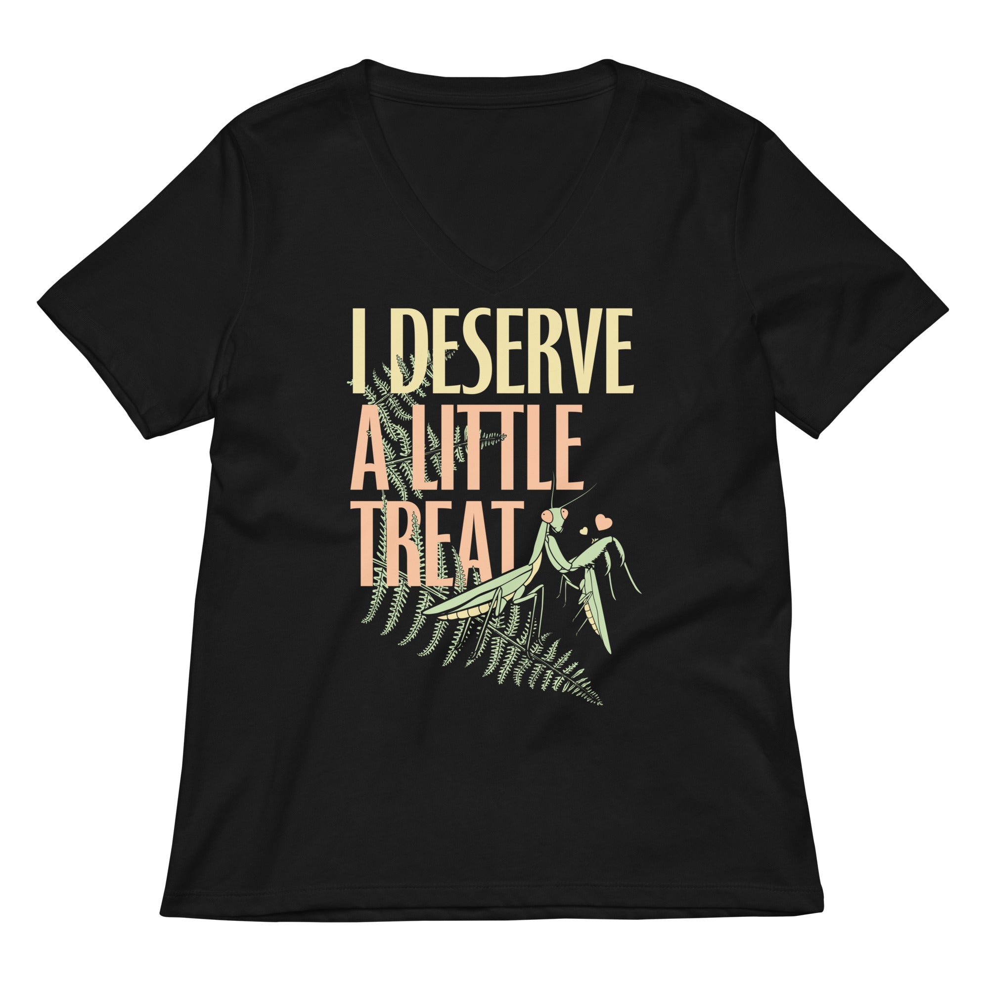 I Deserve A Little Treat Women's V-Neck Tee