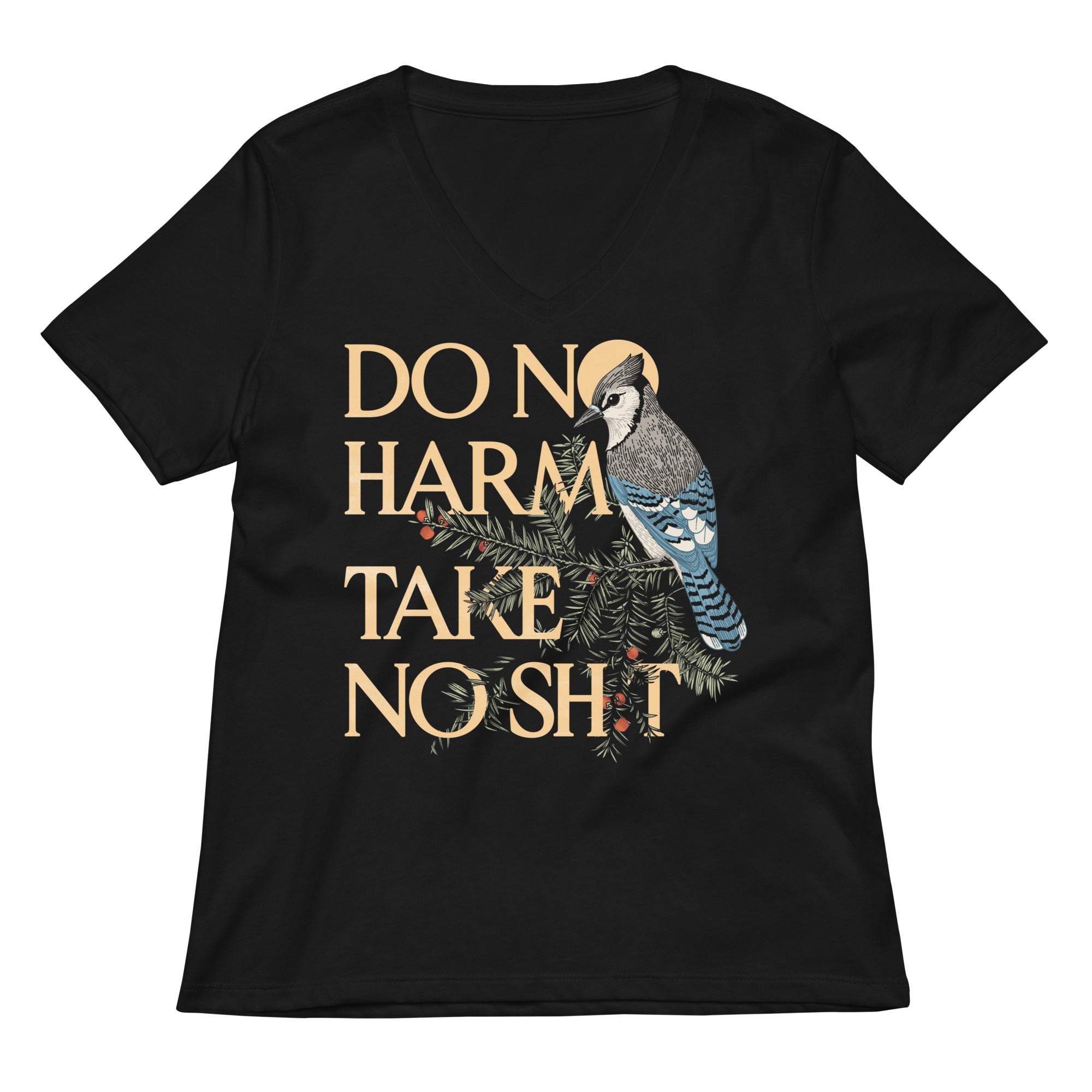 Do No Harm Women's V-Neck Tee