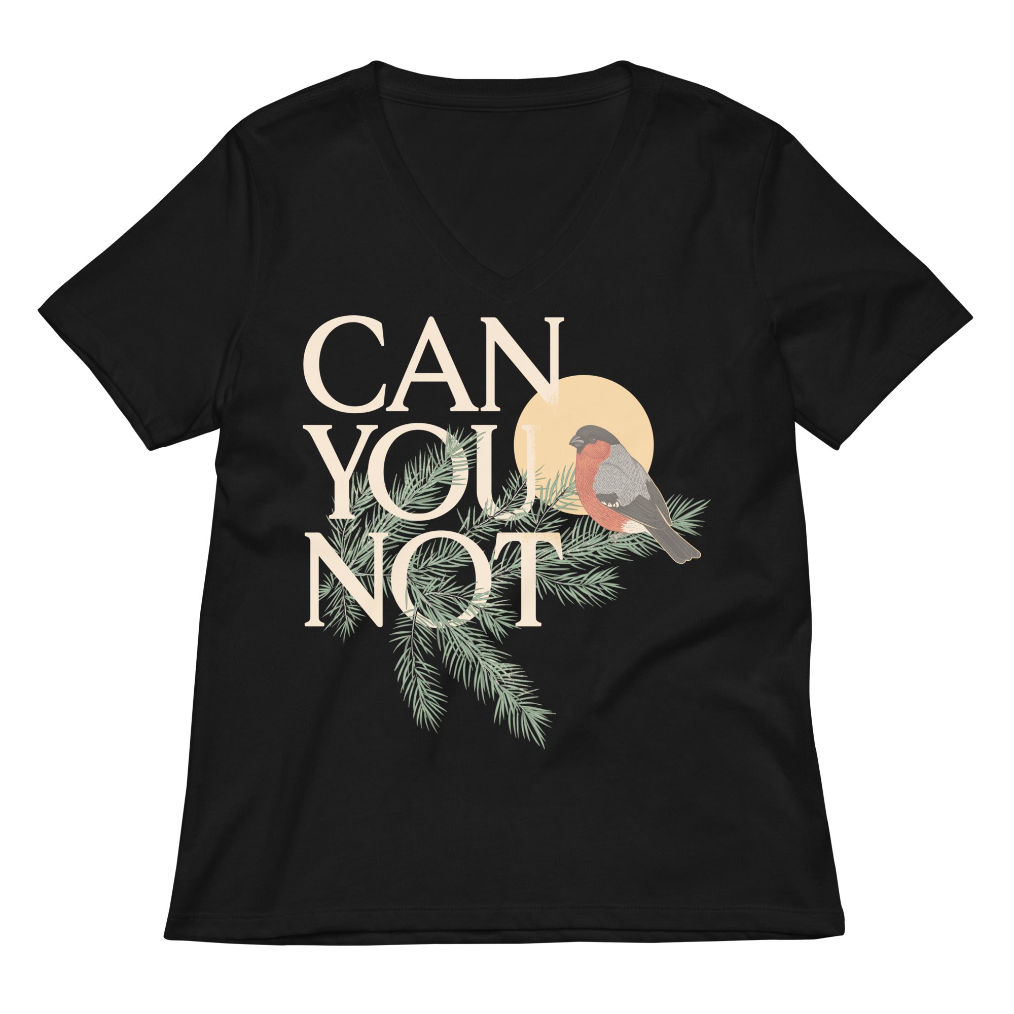 Can You Not Women's V-Neck Tee