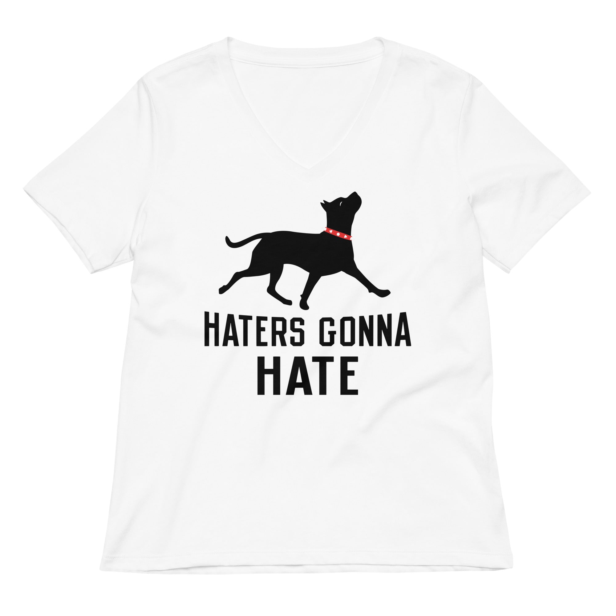 Haters Gonna Hate Pit Women's V-Neck Tee