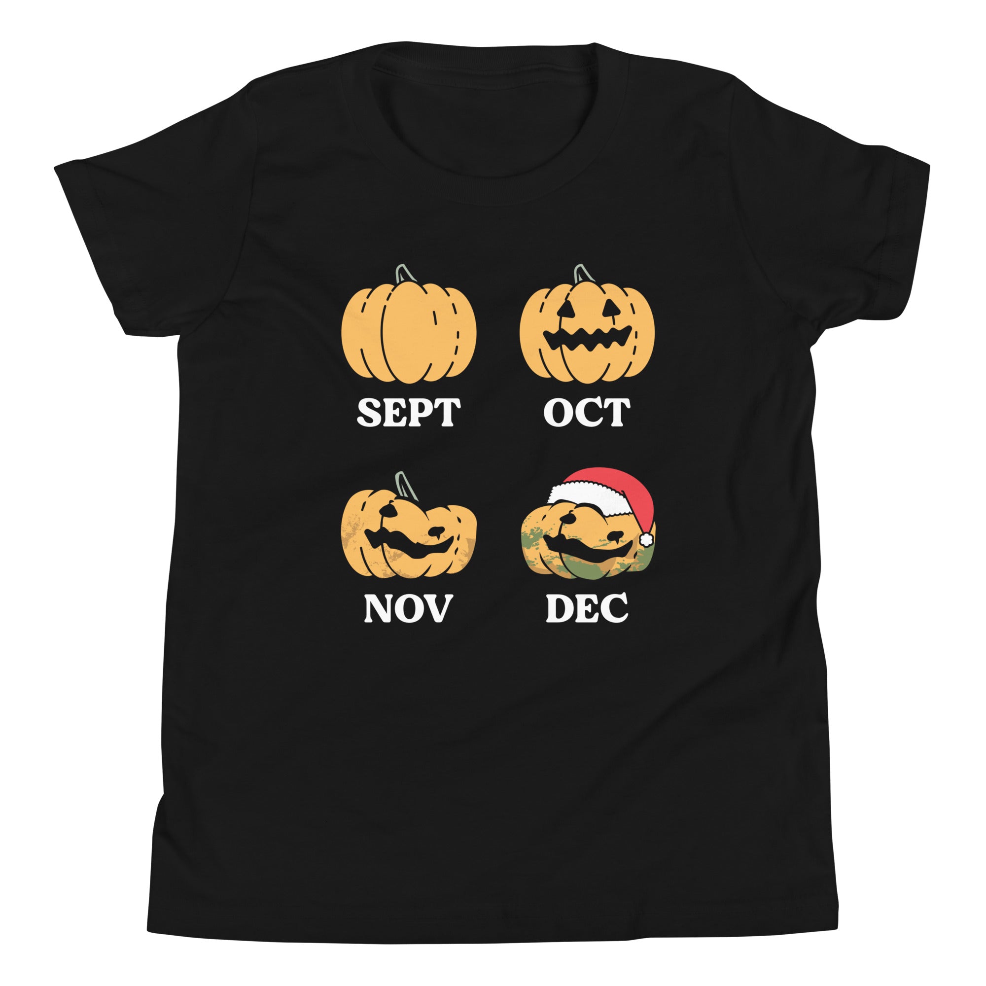 Pumpkin Months Kid's Youth Tee