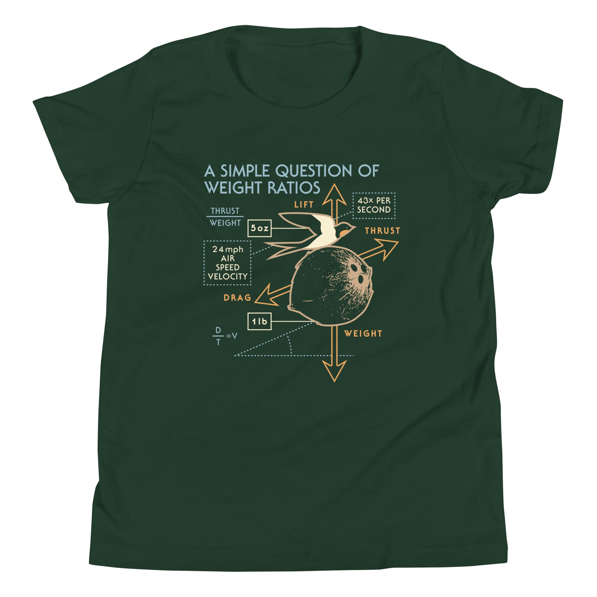 A Simple Question Of Weight Ratios Kid's Youth Tee