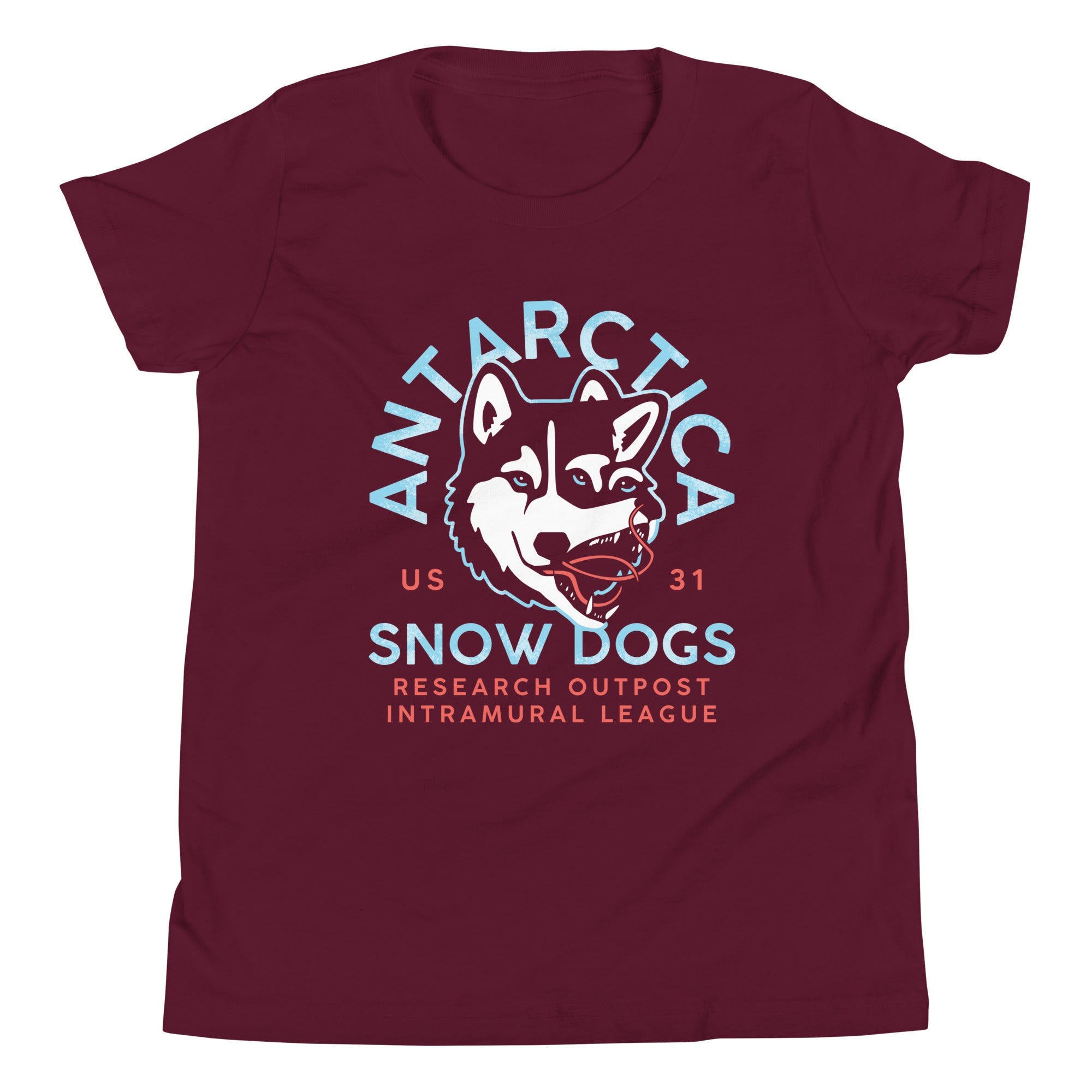 Antarctica Snow Dogs Kid's Youth Tee