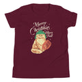 Merry Christmas Litter's Full Kid's Youth Tee