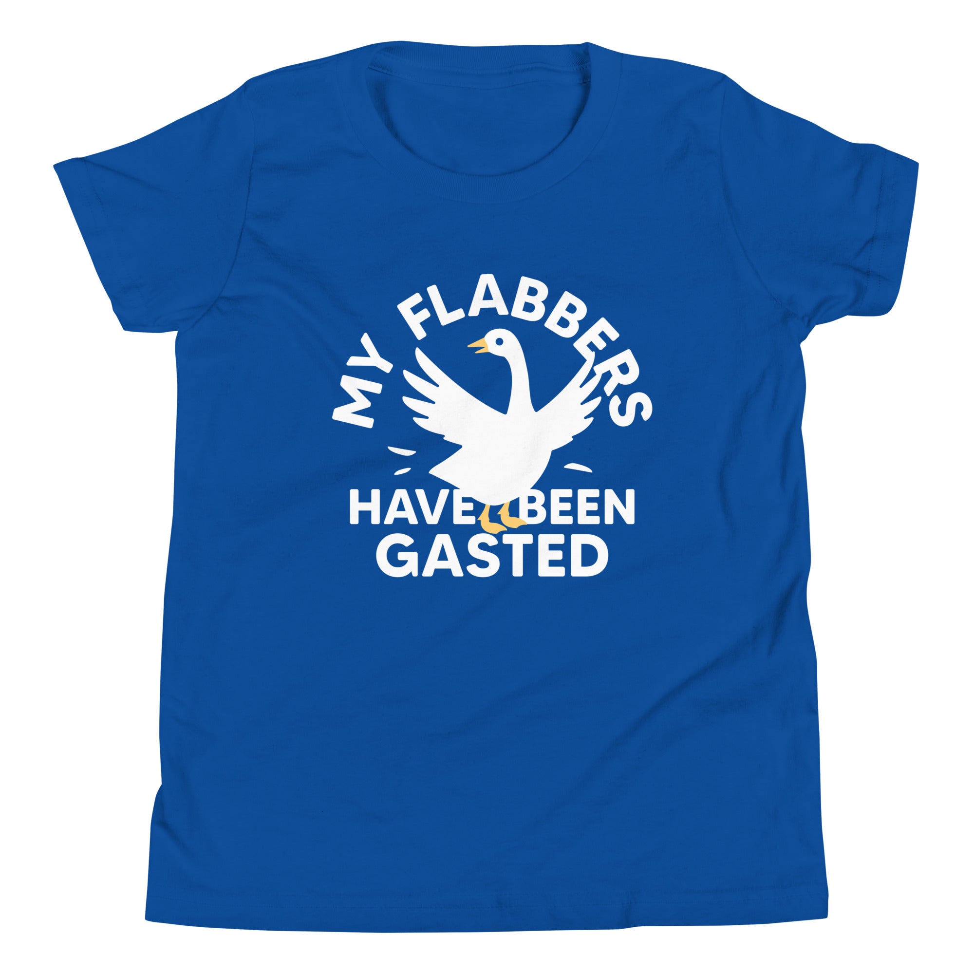 My Flabbers Have Been Gasted Kid's Youth Tee